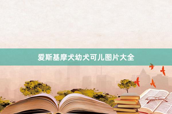爱斯基摩犬幼犬可儿图片大全